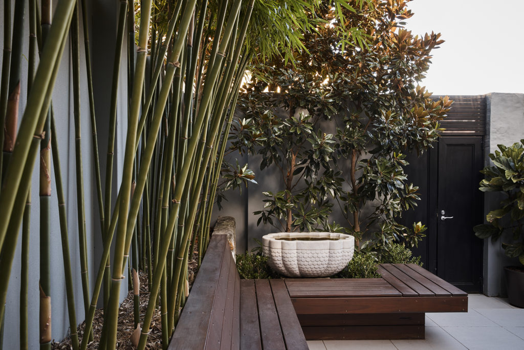 Landscape Garden Design in Paddington | Think Outside Gardens