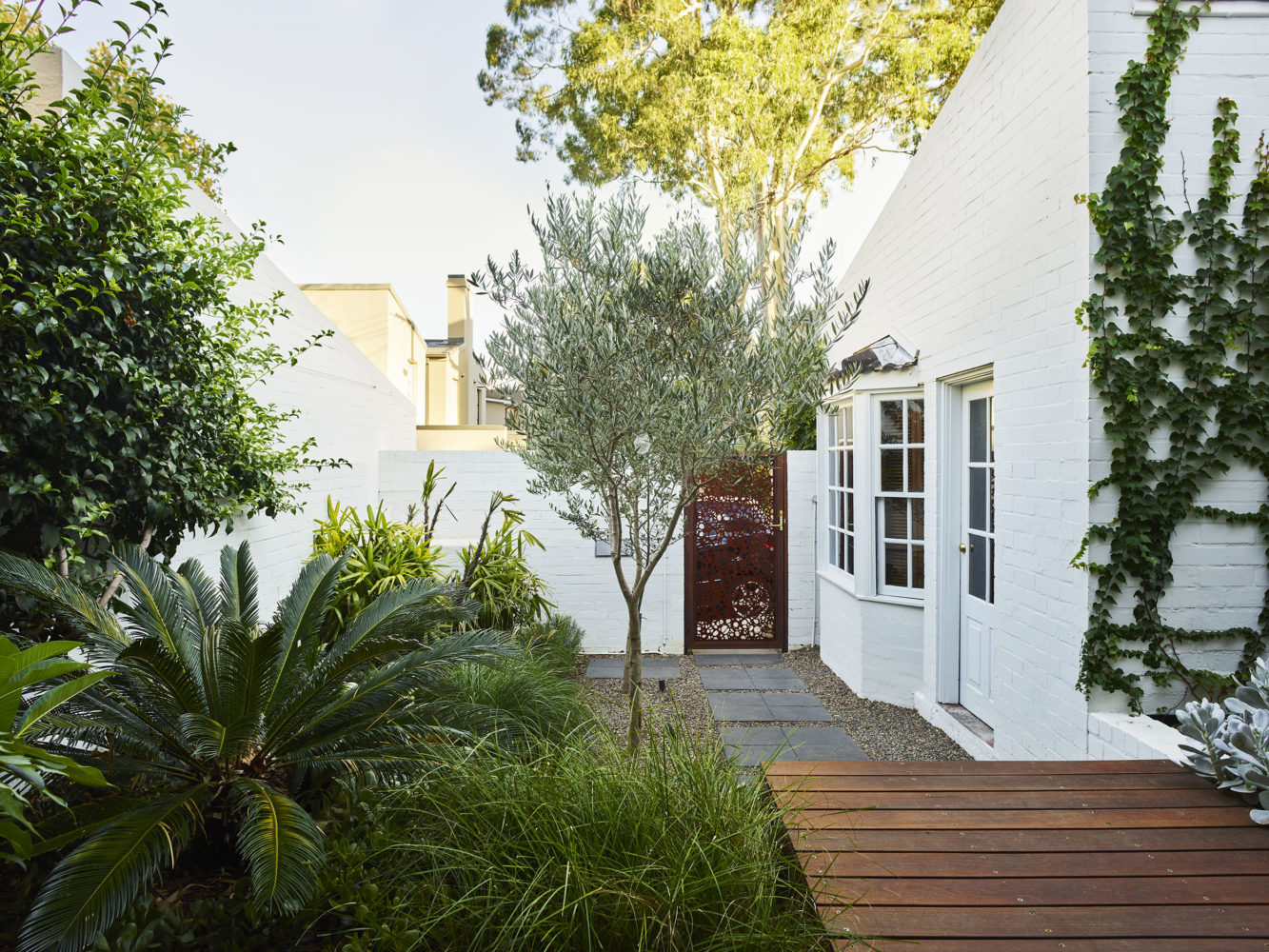 Landscape Garden Design in Woollahra | Think Outside Gardens